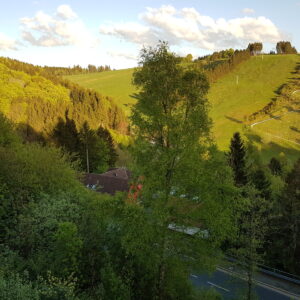 Wohnung 1 OG links – Bild 2